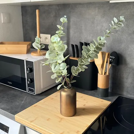 Apartment Chez Brunella Centre Avec Parking Reims